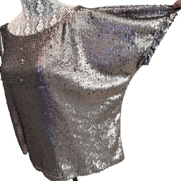 Hayden Los Angeles Fully Silver Sequined Short Sleeve Blouse Size Small 1920 - Picture 9 of 12